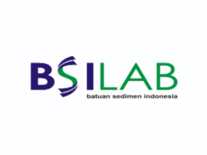 BSI